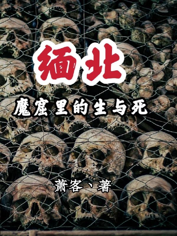 缅北魔窟里的生与死动画